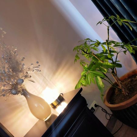 ホテルCasa Maria Roses Rîşnov エクステリア 写真
