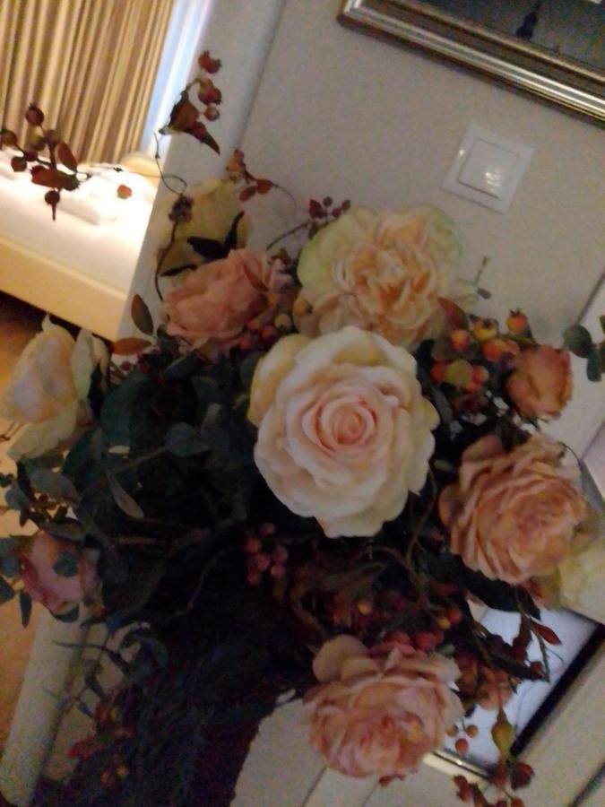 ホテルCasa Maria Roses Rîşnov エクステリア 写真