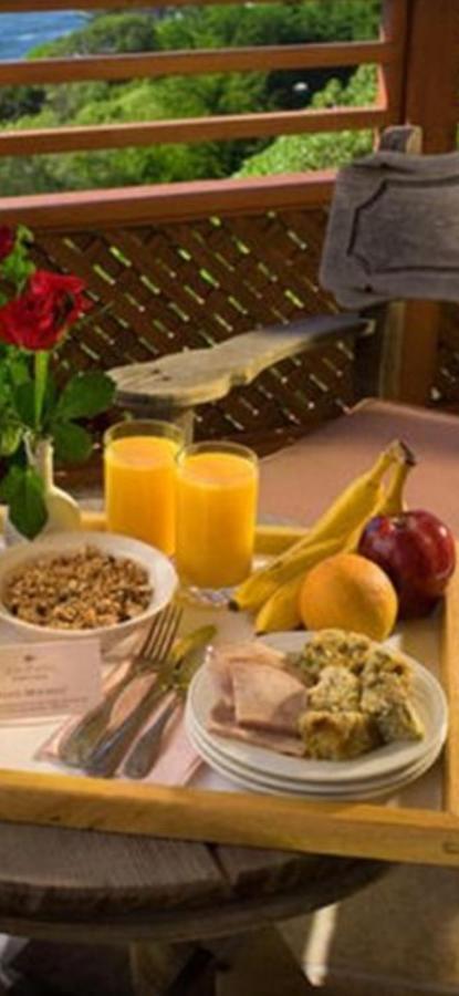 ホテルCasa Maria Roses Rîşnov エクステリア 写真