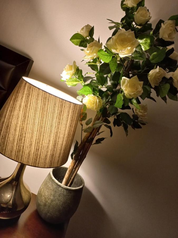 ホテルCasa Maria Roses Rîşnov エクステリア 写真