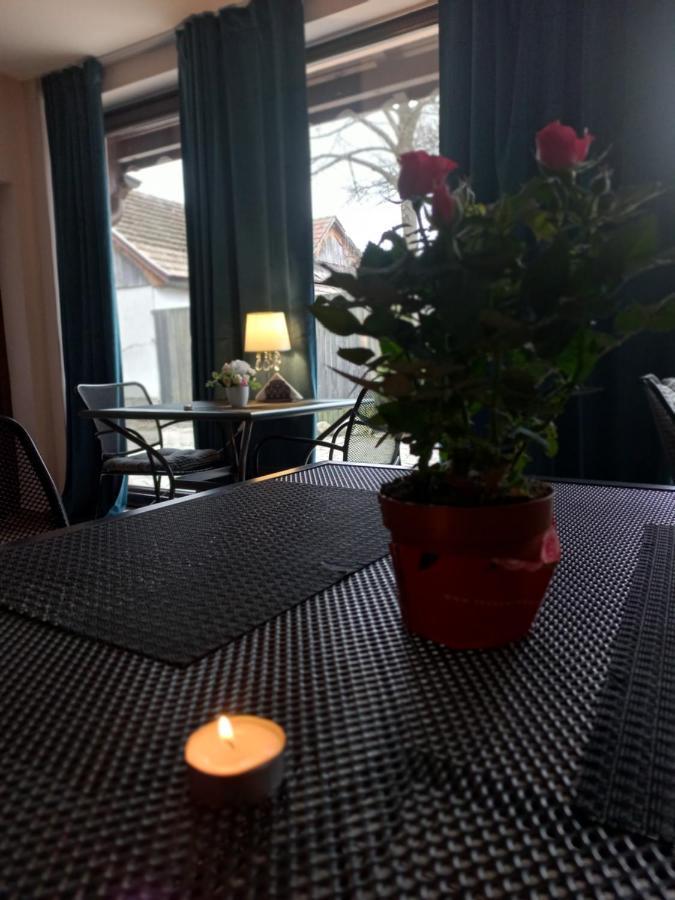 ホテルCasa Maria Roses Rîşnov エクステリア 写真
