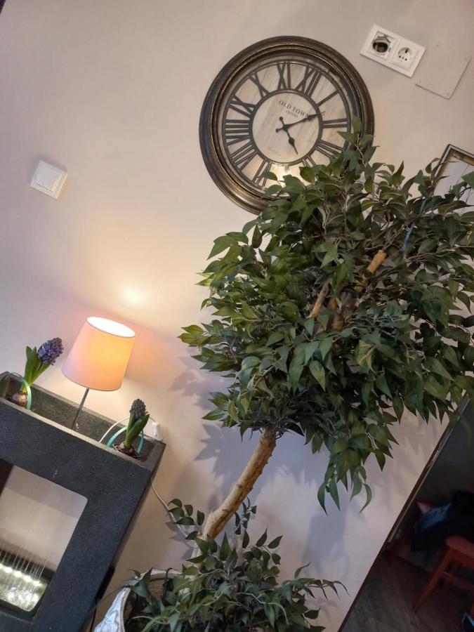 ホテルCasa Maria Roses Rîşnov エクステリア 写真