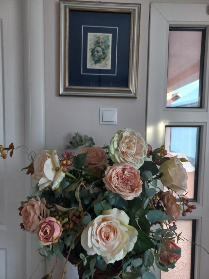 ホテルCasa Maria Roses Rîşnov エクステリア 写真