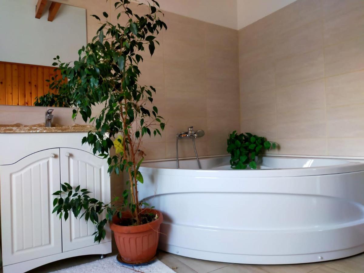 ホテルCasa Maria Roses Rîşnov エクステリア 写真